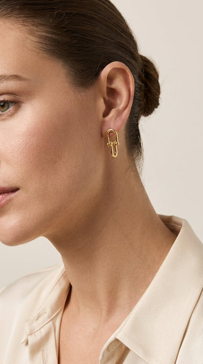 Elegant Gold Link Earrings