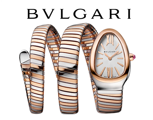 Luxury Two-Tone Serpent Bracelet Watch