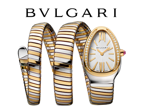 Luxury Two-Tone Serpent Bracelet Watch